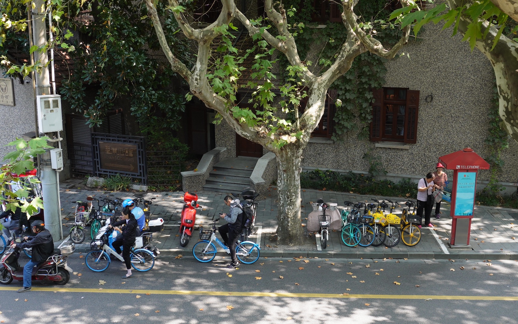 上海 思南路(二)