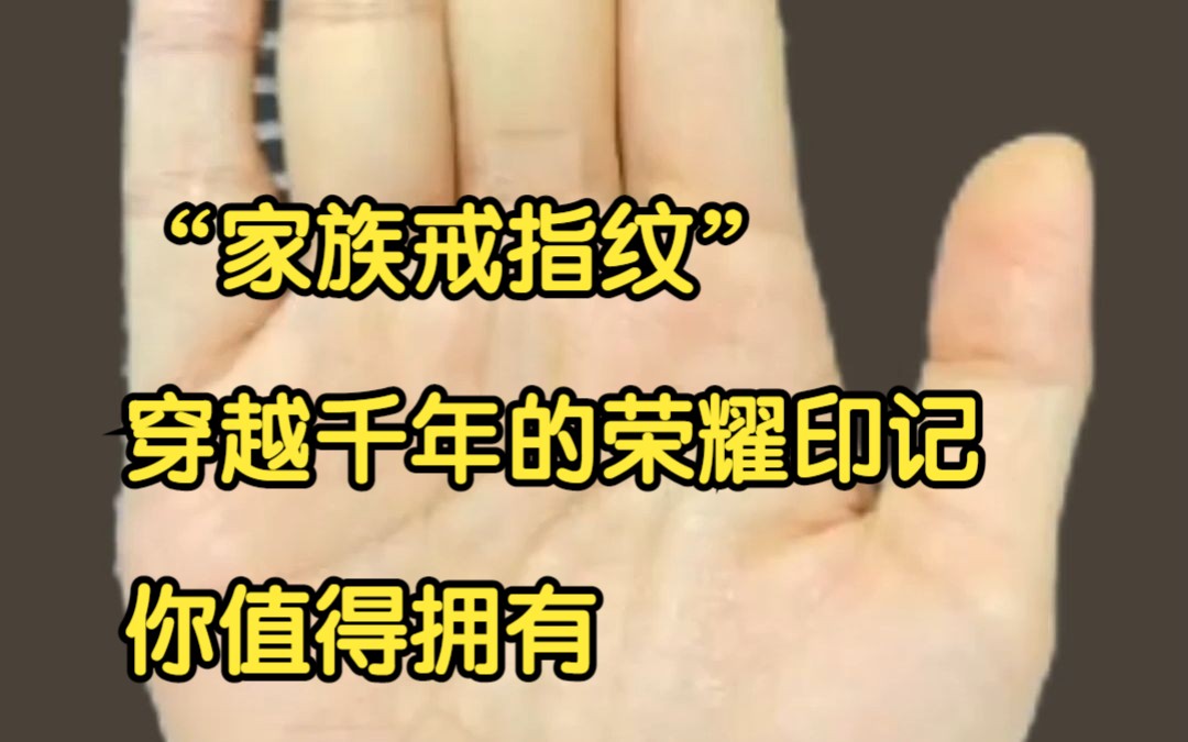 “家族戒指纹”穿越千年的荣耀印记,你值得拥有哔哩哔哩bilibili