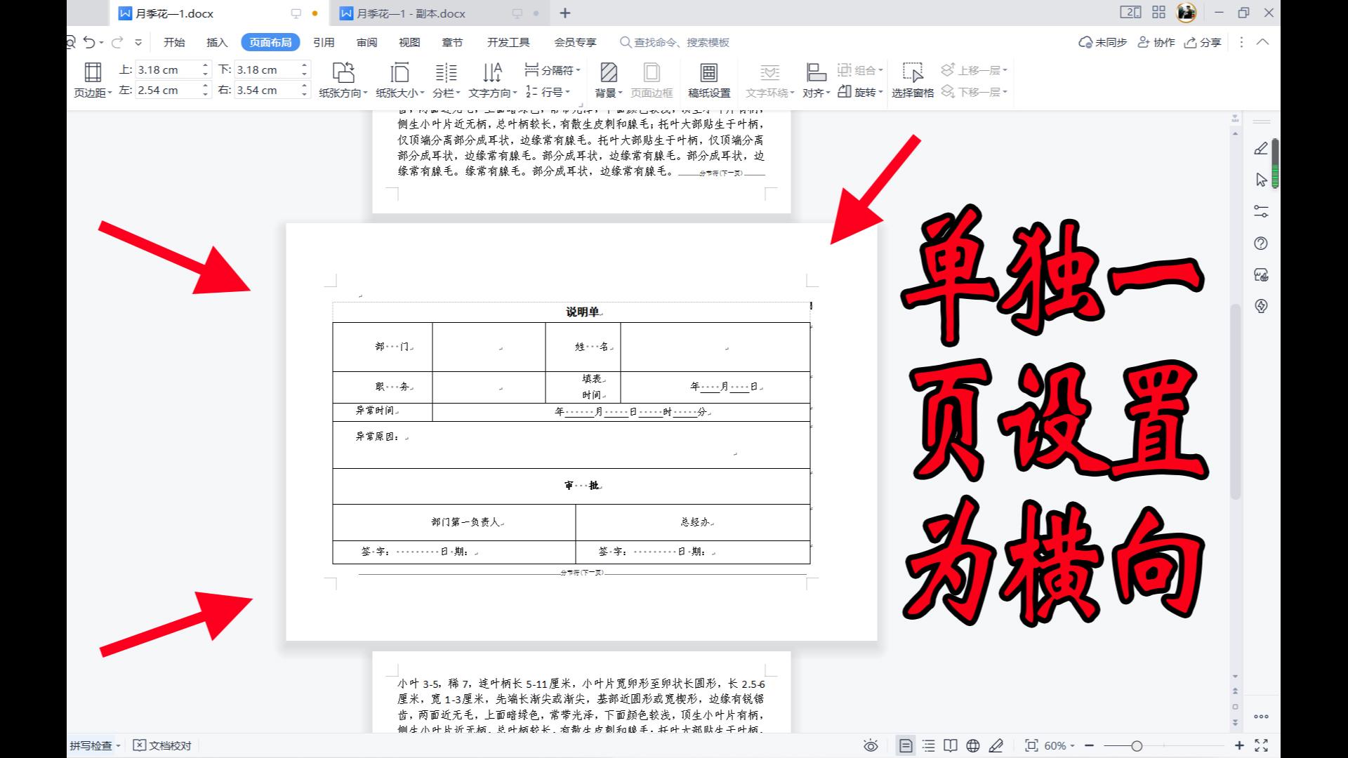 WPS文档怎样设置单独一页为横向?方法简单,几秒就能完成操作哔哩哔哩bilibili