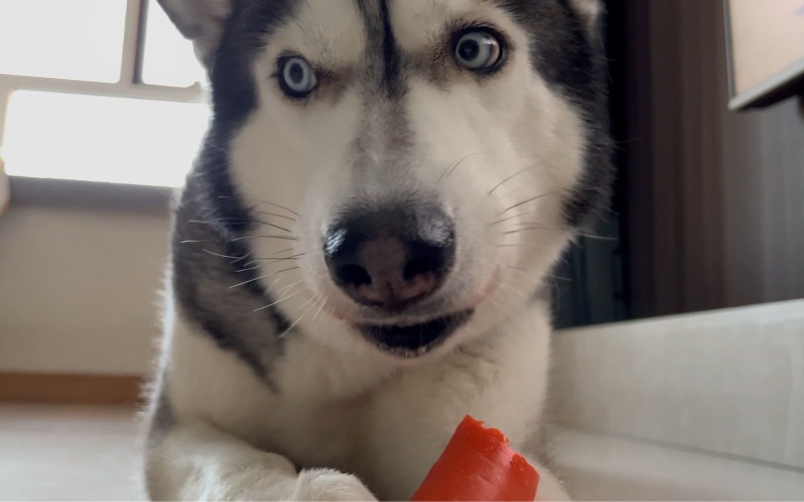 让我看看是谁还不喜欢吃胡萝北?乔巴日常下午茶