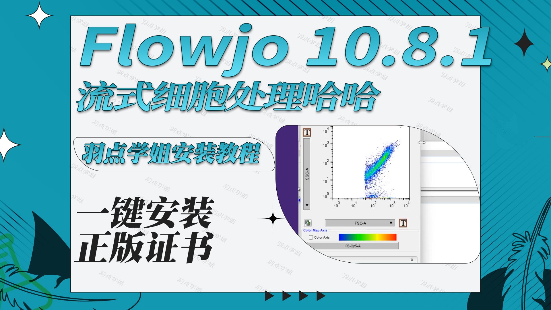 正版版Flowjo10.8.1一键安装流式数据分析软件,功能强大哔哩哔哩bilibili