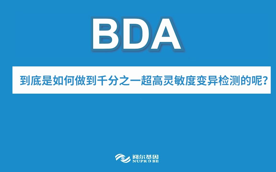 BDA技术演示哔哩哔哩bilibili