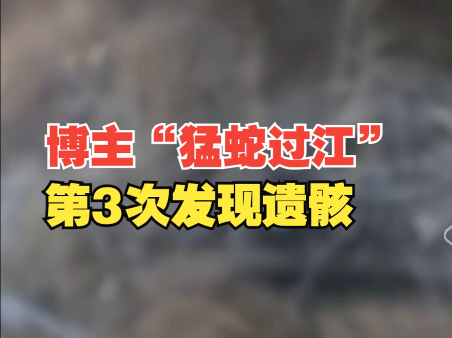 博主“猛蛇过江”疑似第3次在野外发现遗骸,警方称具体情况还需核实哔哩哔哩bilibili