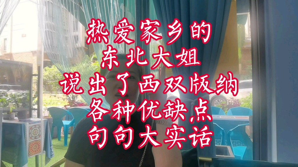 热爱家乡的东北大姐,说出了西双版纳各种优缺点,句句大实话!哔哩哔哩bilibili