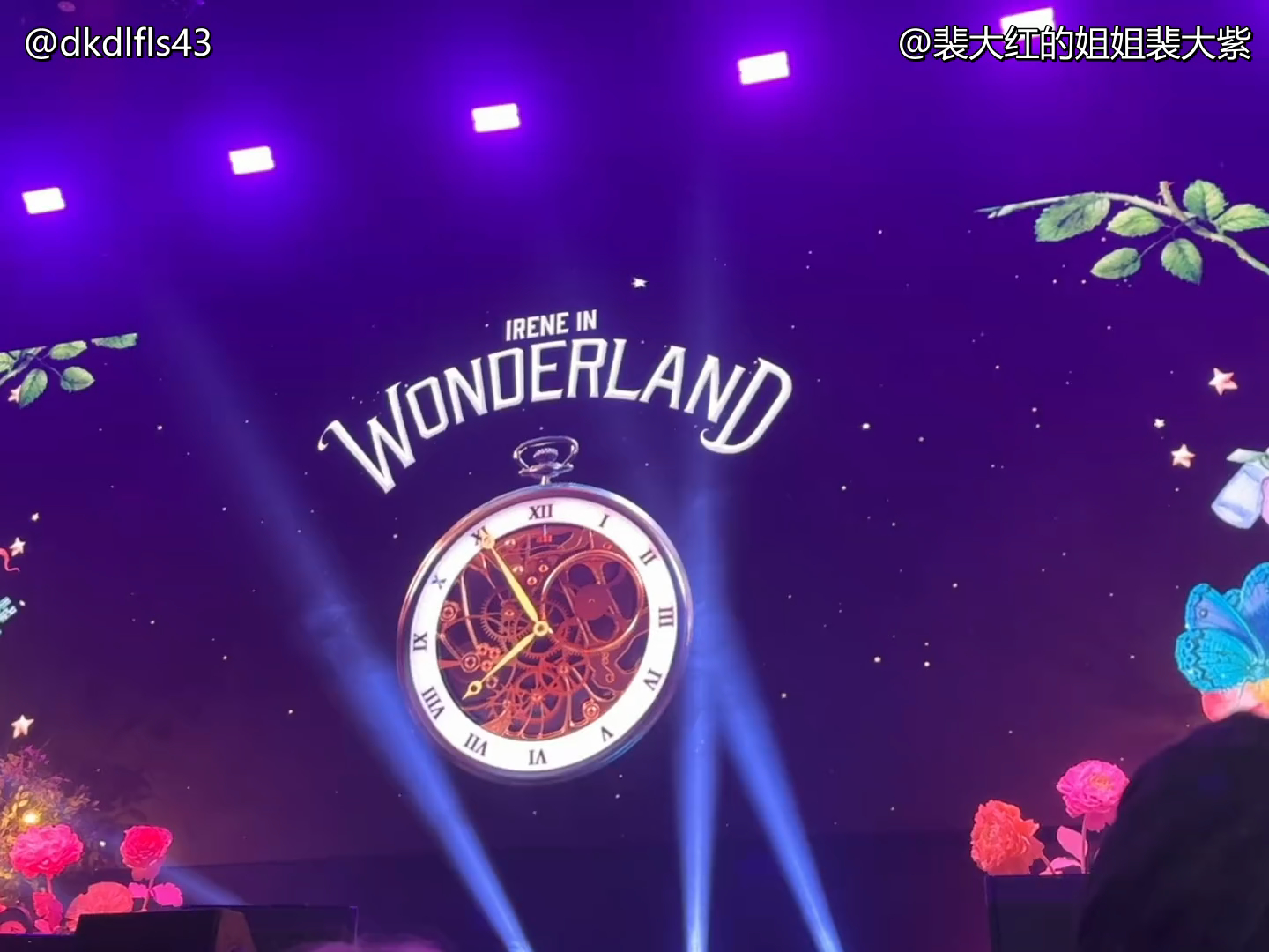 【裴珠泫】2024生日会全场中字IRENE IN WONDERLAND哔哩哔哩bilibili