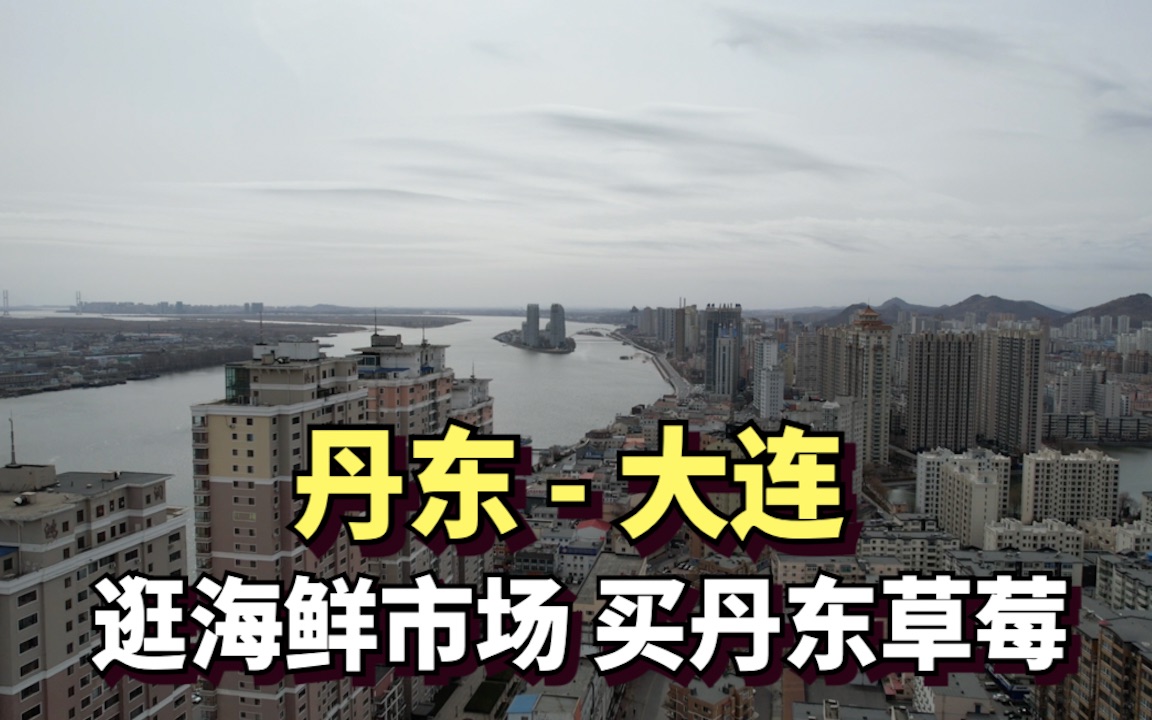 沿着黄海滨海公路从丹东到大连,逛海鲜市场,吃丹东草莓哔哩哔哩bilibili