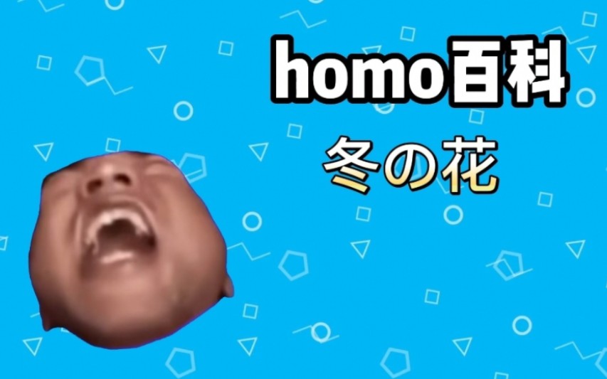 [图]【homo百科】冬の花是什么