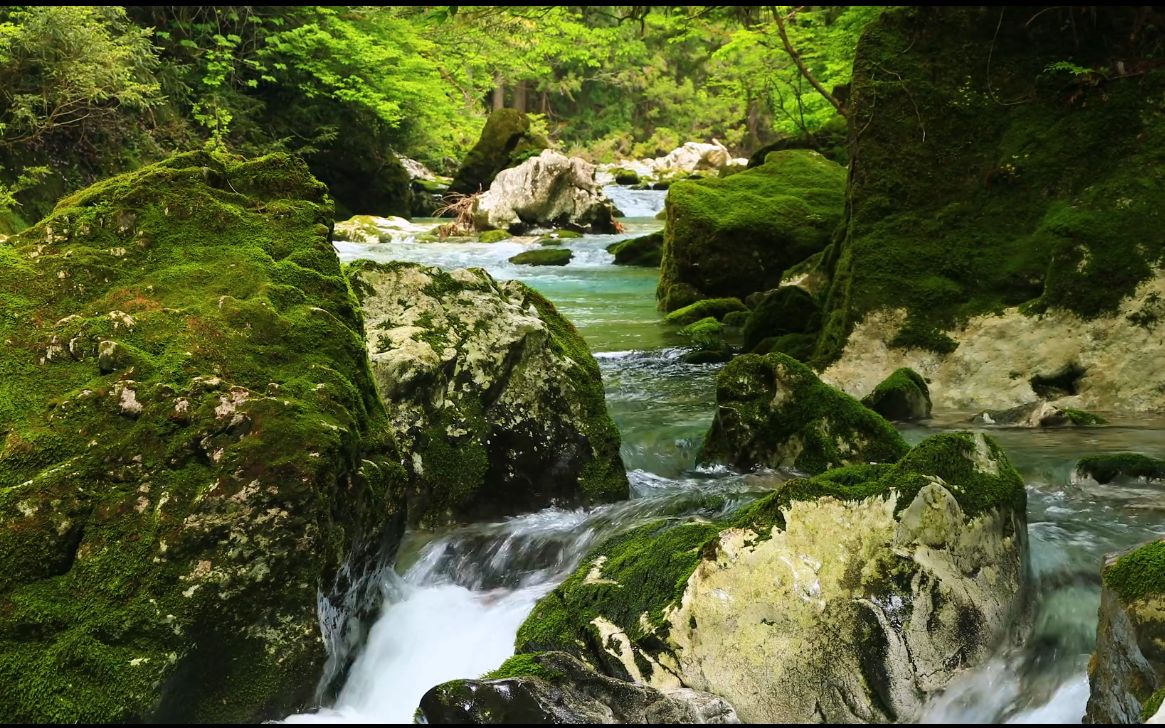 自然之声 21s05e25[翠绿的山林清澈的溪流][放松●休闲●学习●白噪]