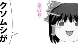 花 A Last Flower 搜索结果 哔哩哔哩 Bilibili