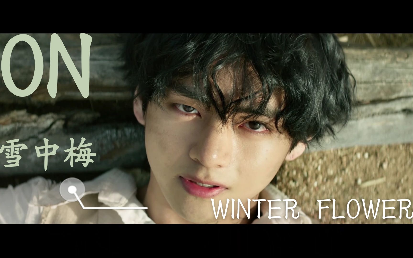 [图]【ON×WINTER FLOWER|雪中梅】太配了！！论防弹少年团mv兼容性