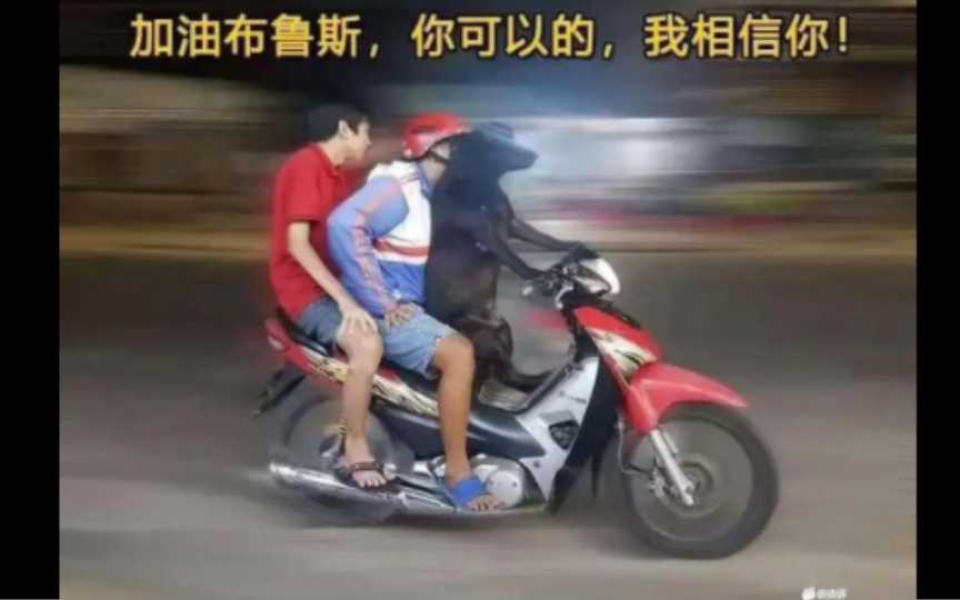 加油,布鲁斯你可以的