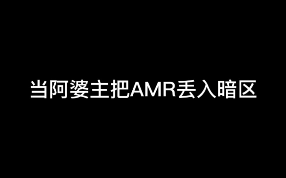 [图]当阿婆主把AMR丢进暗区中……