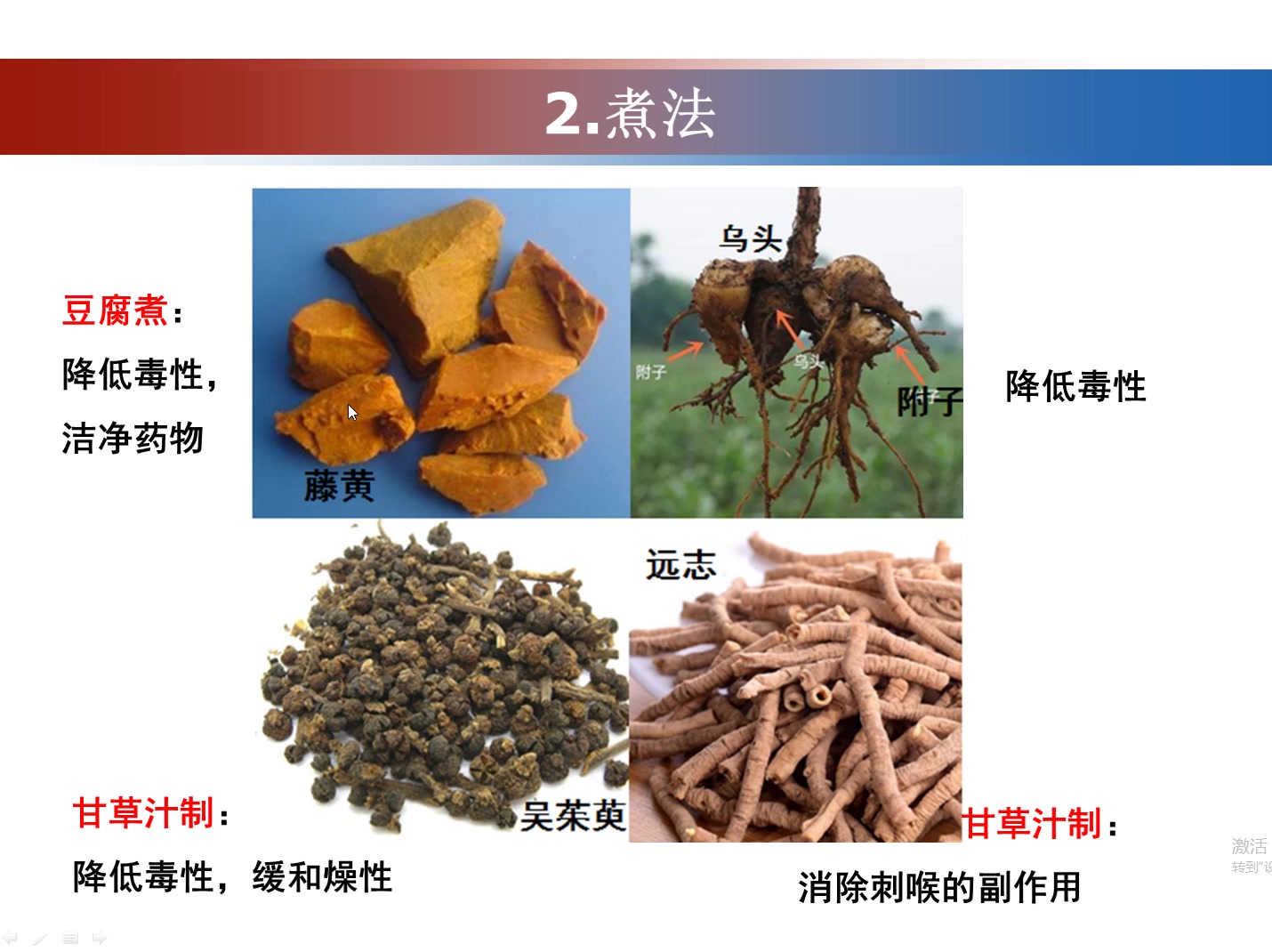 中药炮制-蒸煮燀法