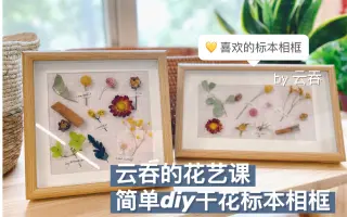 花标本 搜索结果 哔哩哔哩 Bilibili 花标本 搜索结果 哔哩哔哩 Bilibili