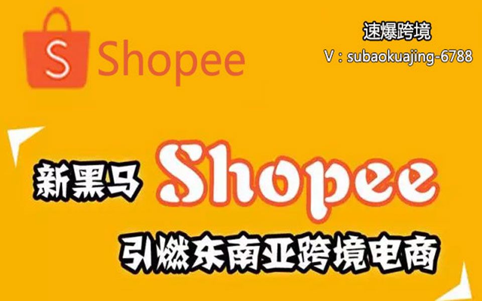 大卖教你小白零成本无经验也可以玩转的跨境电商shopee(虾皮)日出百单系列课程哔哩哔哩bilibili