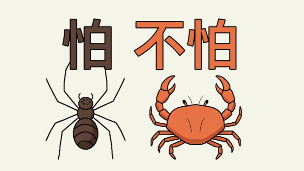 吃螃蟹却怕蜘蛛？