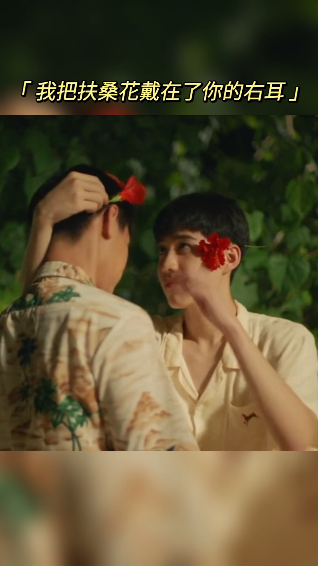 【bkpp】扶桑花的初次试探,一个爱而却