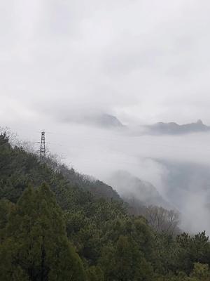 [图]山顶白雪皑皑，山中云雾缭绕