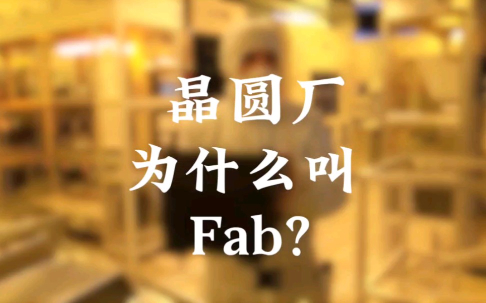 202 | 晶圆厂为什么叫Fab#芯片#半导体哔哩哔哩bilibili