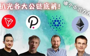 Download Video: 公链之战，看看谁是下一个公链之王