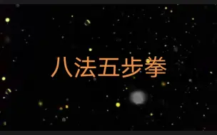 Download Video: 东北大学八法五步拳动作1－30分解动作＋连贯动作(自用)