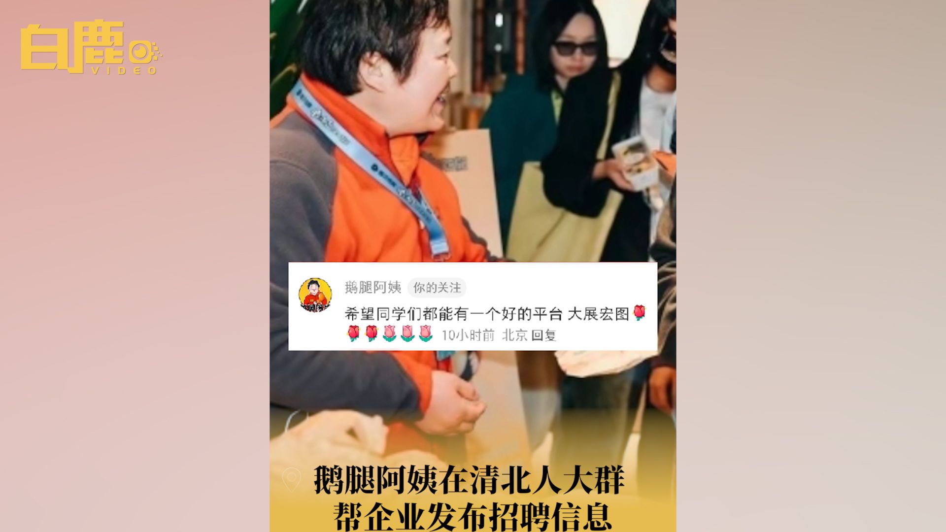 鹅腿阿姨在清北人大群帮企业发招聘哔哩哔哩bilibili