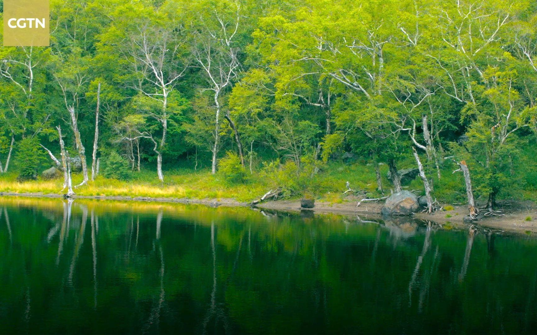 [图]长白山奇特景观：石头水上漂，木头沉水底【纪录片】【双语】