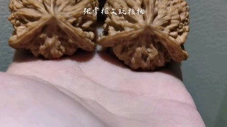 文玩核桃 太行龙纹 文玩麻核桃品种—太行龙纹🔥