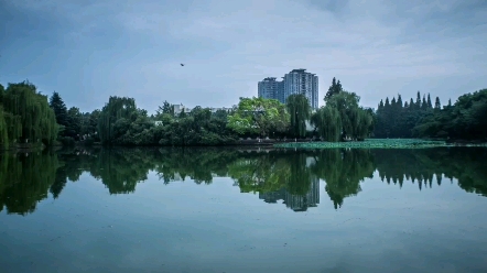 雨后的西南交大九里校区,很饱满的蓝色和绿色哔哩哔哩bilibili