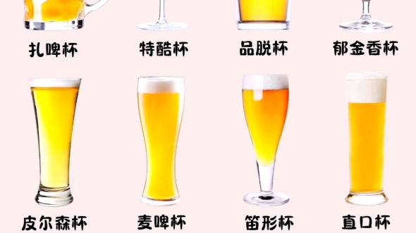 常见啤酒酒杯一次说清楚|新手入门必备哔哩哔哩bilibili