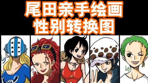 妙啊 骚气七武海全员性转 海贼王one Piece 哔哩哔哩 Bilibili