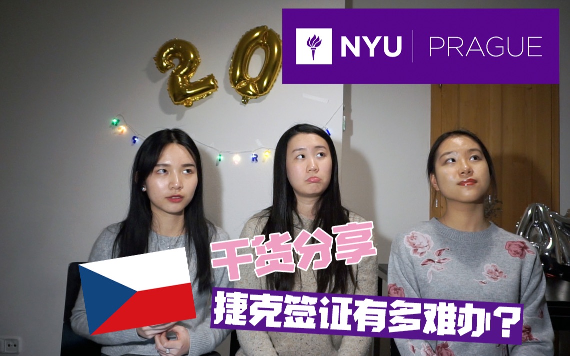 如何办捷克长期签证NYU Edition Klouyi Vlog 005哔哩哔哩bilibili