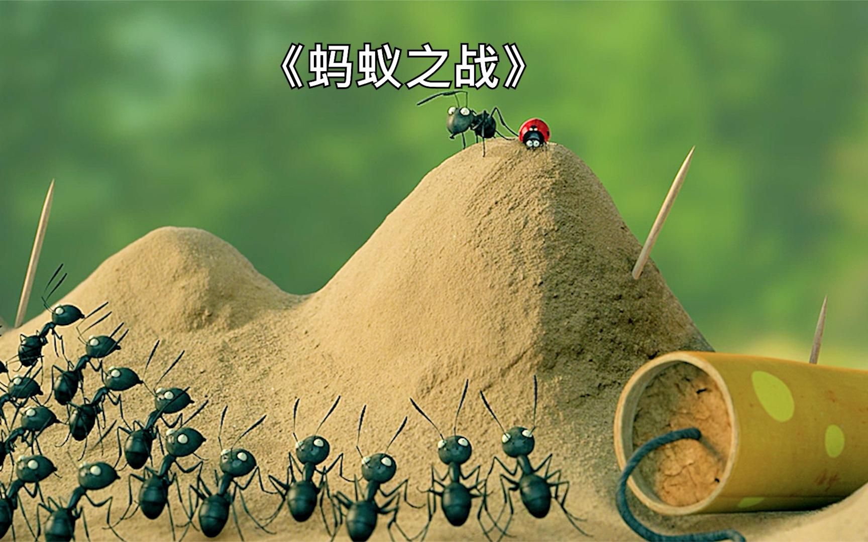 蚂蚁大战动画图片