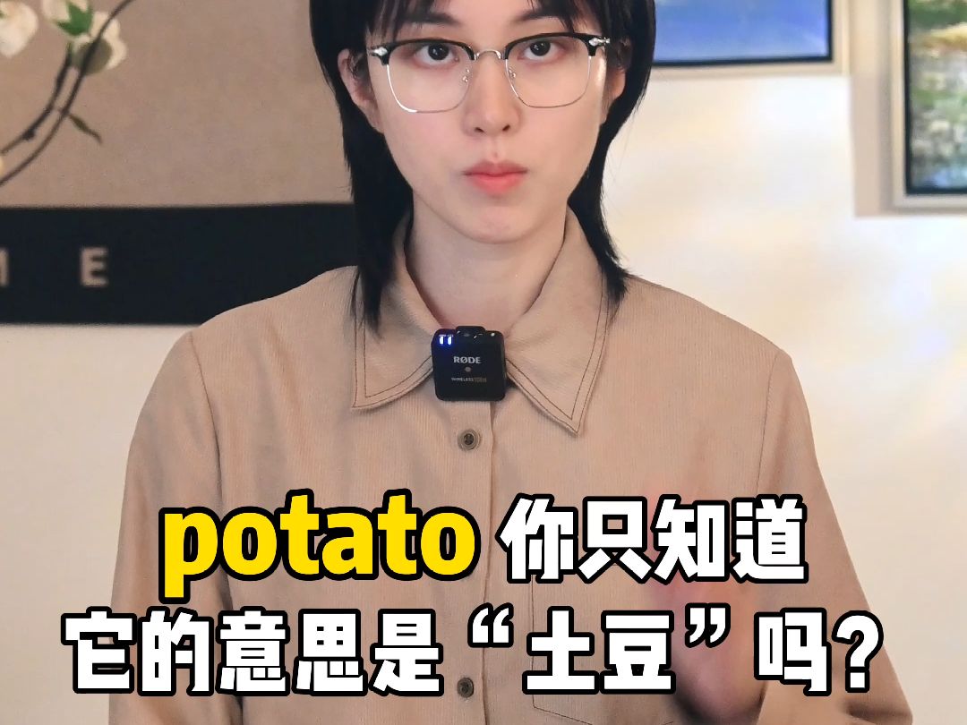 potato 你只知道它的意思是“土豆”吗?哔哩哔哩bilibili