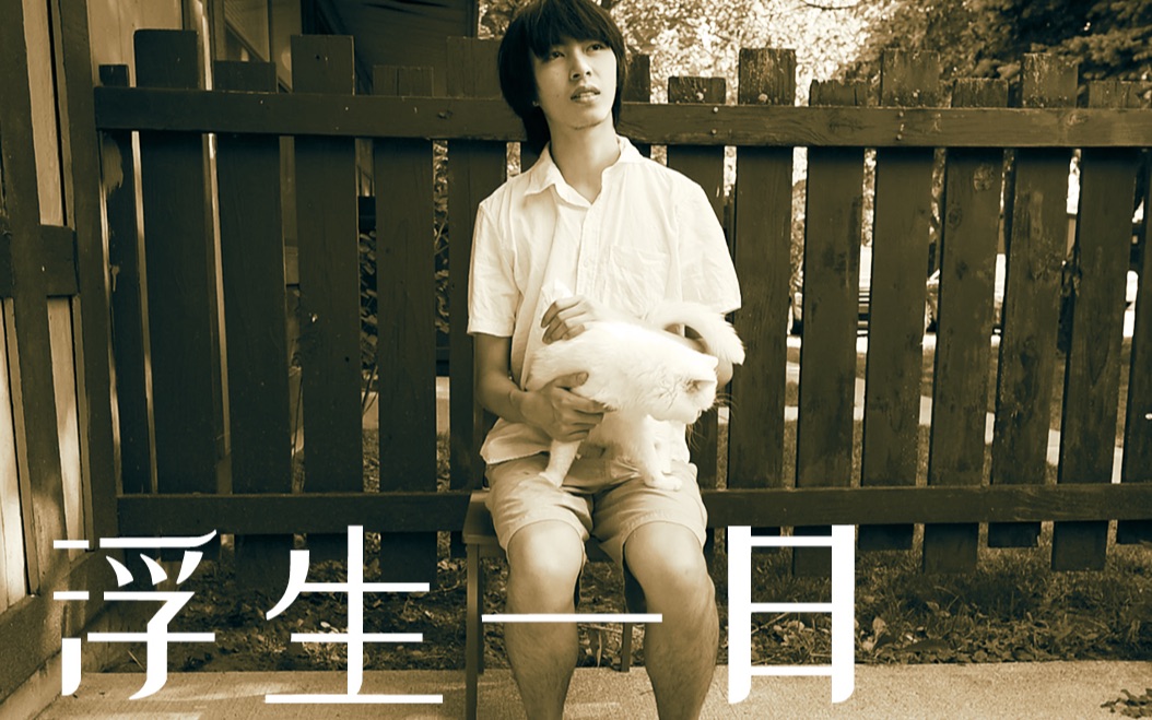 浮生一日——你口袋里有什么?猫粮!