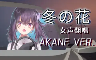 冬の花 哔哩哔哩 Bilibili