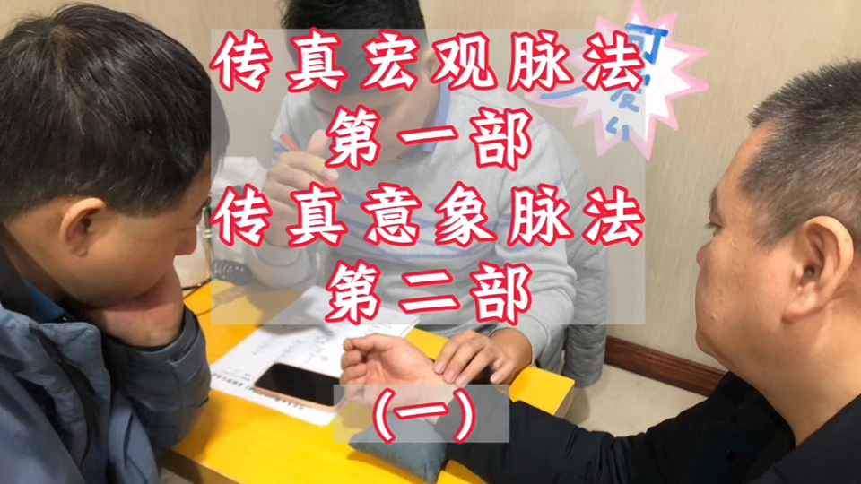传真宏观脉法第一部,传真意象脉法第二部,刘永宽老师讲脉法