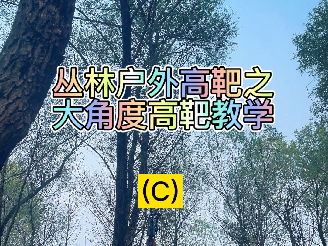 丛林户外复合弓大角度高靶教学哔哩哔哩bilibili