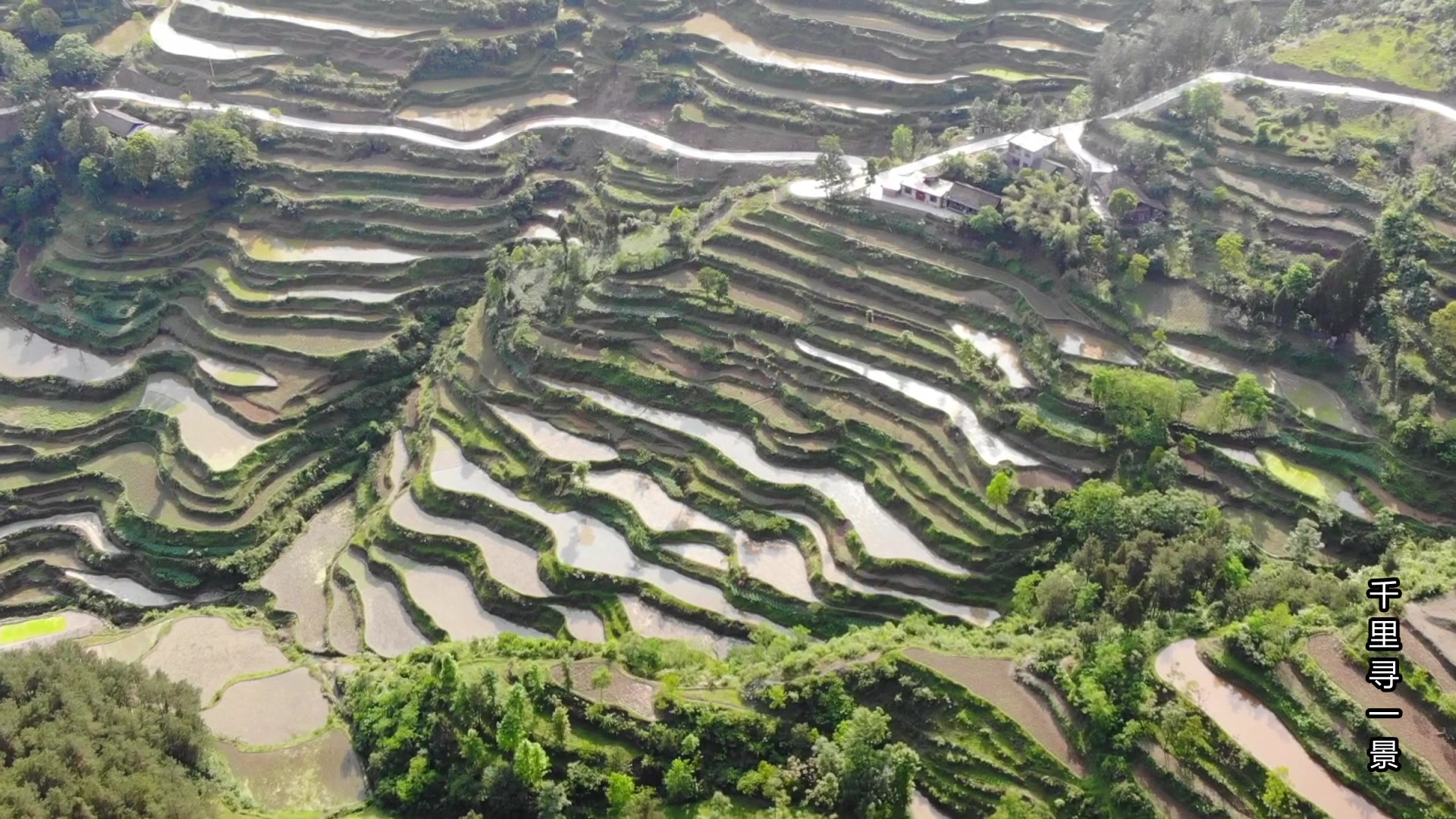 [图]贵州山中的梯田环绕大山，真是隐藏在山中的一道美丽曲线