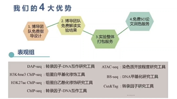 蛋白DNA互作实验分析DNA亲和纯化测序(DAPseq)、组蛋白甲基化修饰哔哩哔哩bilibili