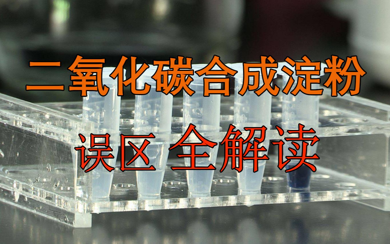 中国科学家首次实现人工合成淀粉~对合成淀粉认识误区的解读哔哩哔哩bilibili