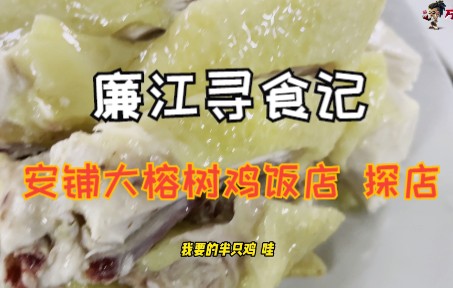 广东廉江寻食记 安铺大榕树鸡饭店 探店哔哩哔哩bilibili