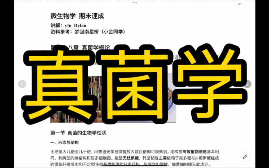 真菌学(特殊结构、繁殖方式、病原性真菌)【微生物学期末速成】哔哩哔哩bilibili