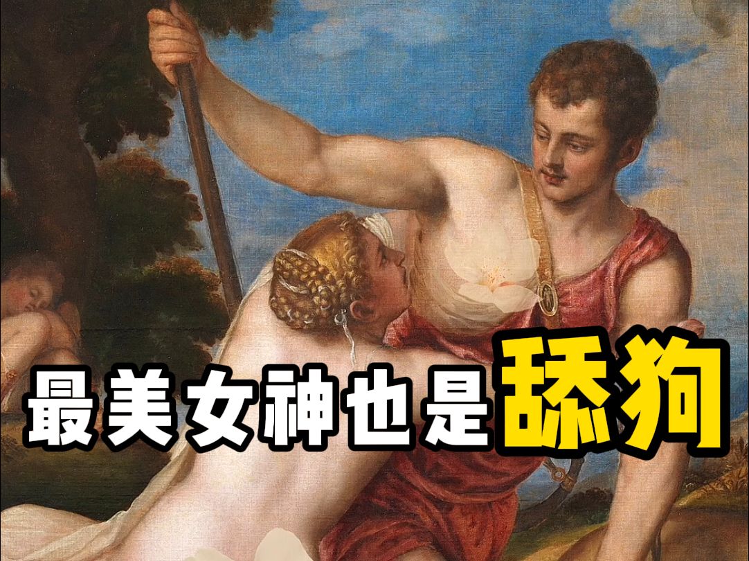 名画鉴赏|维纳斯:古希腊掌管恋爱脑的神哔哩哔哩bilibili