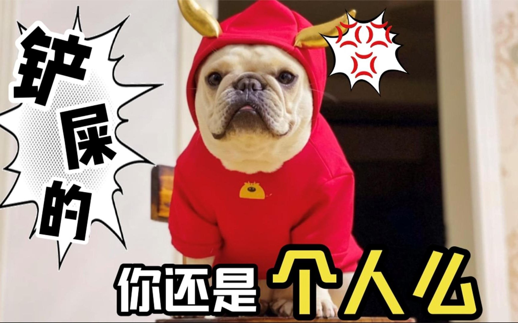 狗:我可能不是人,但你真是狗!