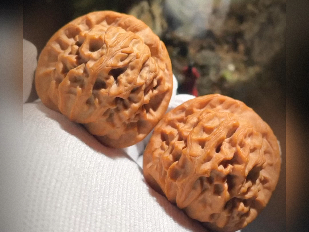 刘子龙家怀柔一代天地狮子头,全品货头,六面精配,皮质顶级,附带收藏