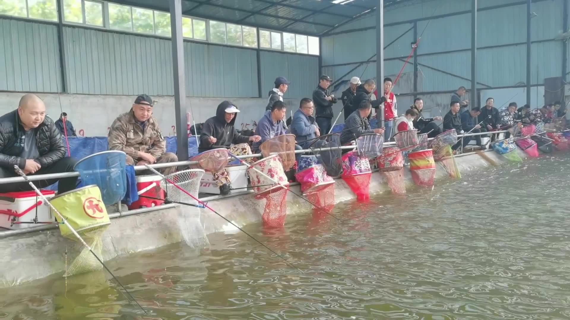 这个没有灵魂的钓场到底有什么魅力每场总能爆满今天咱们去看一下哔哩哔哩bilibili