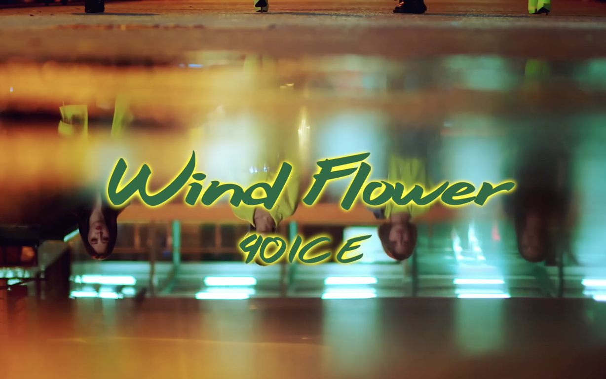 [图]【Wind Flower中文填词翻唱】答应你们的风花~你就像风掀起万丈波澜