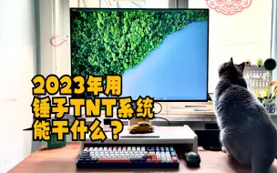 Download Video: 2023年用锤子TNT系统能干什么？