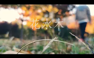 ハナミズキ-哔哩哔哩_Bilibili